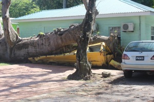 The reminders of the hurricane in Dominica